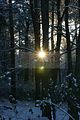 russ_garnission_2009-12.20_0024