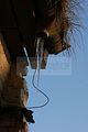 russ_garnission_2009-12.20_0033