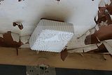 russ_garnission_2009-12.20_0035