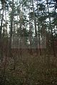 russ_garnission_2009-12.27_0024