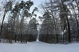 russ_garnission_2010-01.03_0004
