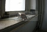 russ_garnission_2010-01.03_0026