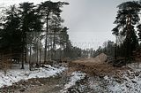 russ_garnission_2010-02.07_0015