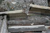 russ_garnission_2010-02.07_0019