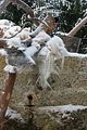 russ_garnission_2010-02.14_0010