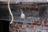 russ_garnission_2010-02.21_0002