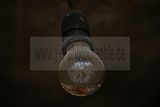 russ_garnission_2010-02.21_0003