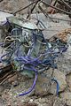 russ_garnission_2010-02.28_0012