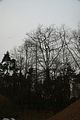 russ_garnission_2010-02.28_0013