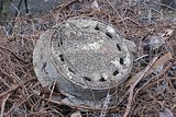 russ_garnission_2010-02.28_0024