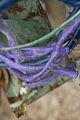 russ_garnission_2010-02.28_0025