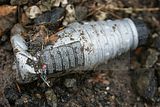 russ_garnission_2010-02.28_0027