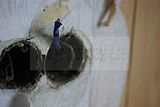 russ_garnission_2010-03.13_0044