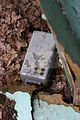russ_garnission_2010-03.13_0048