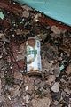 russ_garnission_2010-03.13_0049