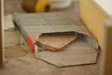 russ_garnission_2010-05.21_0012