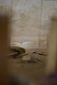 russ_garnission_2010-06.19_0020