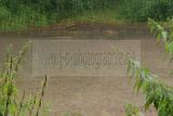 russ_garnission_2010-07.24_0016