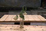 russ_garnission_2011-05.29_05
