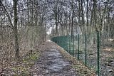 russ_garnission_2011-12.25_07