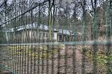 russ_garnission_2011-12.25_10