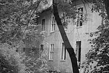 russ_garnission_2009-09.13_0048