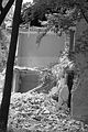 russ_garnission_2009-09.13_0049