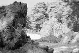 russ_garnission_2009-09.13_0073