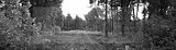 russ_garnission_2009-09.13_0075