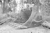 russ_garnission_2009-09.13_0080