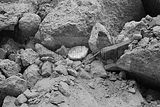 russ_garnission_2009-09.13_0096