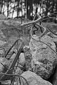 russ_garnission_2009-09.13_0097