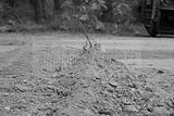 russ_garnission_2009-09.13_0098