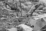 russ_garnission_2009-09.13_0115