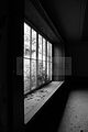 russ_garnission_2009-09.13_0157