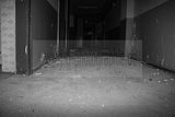 russ_garnission_2009-09.13_0171