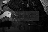 russ_garnission_2009-09.13_0174