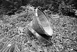 russ_garnission_2009-09.13_0213