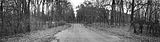russ_garnission_2009-09.20_0004