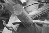 russ_garnission_2009-09.20_0027