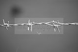 russ_garnission_2009-09.20_0038