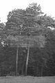 russ_garnission_2009-09.20_0040