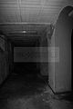 russ_garnission_2009-09.20_0099