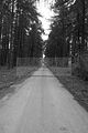 russ_garnission_2009-09.20_0131