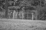 russ_garnission_2009-09.20_0137