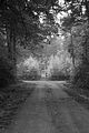 russ_garnission_2009-09.20_0144