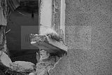 russ_garnission_2009-11.29_0033