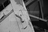 russ_garnission_2009-11.29_0035