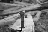 russ_garnission_2009-11.29_0036