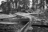 russ_garnission_2009-11.29_0038